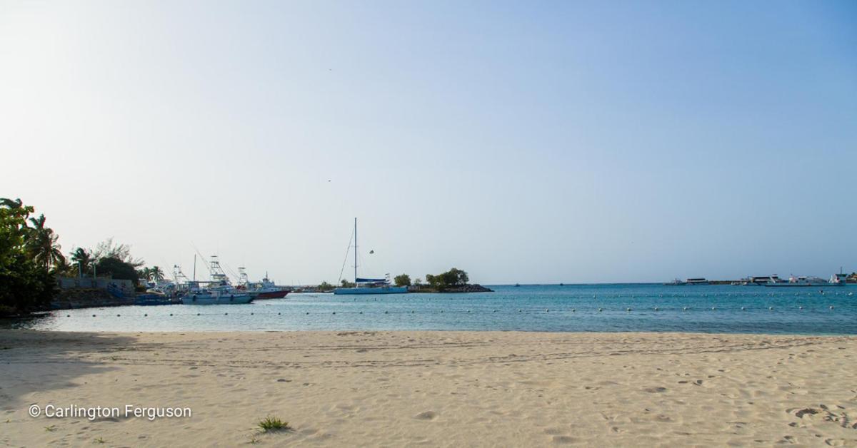 Turtle Beach Towers Ocho Rios Dış mekan fotoğraf